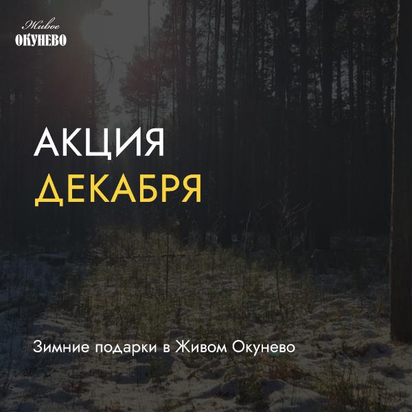 АКЦИИ ДЕКАБРЯ