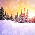 Новогодние каникулы в Окунево